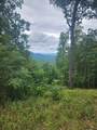 00 Vance Mountain Road - Photo 10