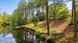 50 Shadow Lane - Photo 23