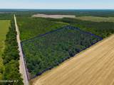 18.5 Acres Georgia 305 Highway - Photo 4