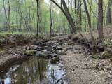 0 Cartledge Creek Road - Photo 10