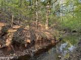 0 Cartledge Creek Road - Photo 11