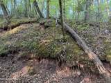 0 Cartledge Creek Road - Photo 12