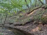 0 Cartledge Creek Road - Photo 13