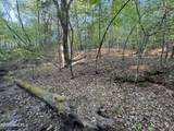 0 Cartledge Creek Road - Photo 15