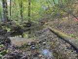 0 Cartledge Creek Road - Photo 16