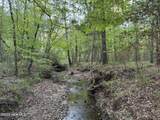 0 Cartledge Creek Road - Photo 18