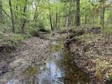 0 Cartledge Creek Road - Photo 19