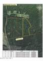 0 Cartledge Creek Road - Photo 2