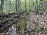 0 Cartledge Creek Road - Photo 21