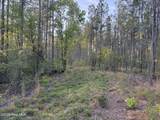 0 Cartledge Creek Road - Photo 22
