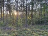 0 Cartledge Creek Road - Photo 23