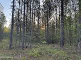 0 Cartledge Creek Road - Photo 24