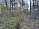 0 Cartledge Creek Road - Photo 25