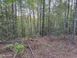 0 Cartledge Creek Road - Photo 26