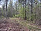 0 Cartledge Creek Road - Photo 28