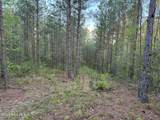 0 Cartledge Creek Road - Photo 29