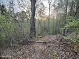 0 Cartledge Creek Road - Photo 30