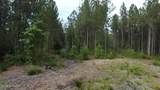 0 Cartledge Creek Road - Photo 32