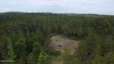 0 Cartledge Creek Road - Photo 8