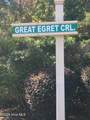 882 Great Egret Circle - Photo 16