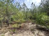 0 V Hogan Drive - Photo 11