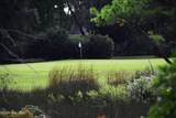 367 Genoe's Point Road - Photo 74