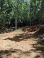 20 Radiant Cove - Photo 1