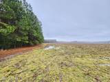 Tbd Ramsey Ford Road - Photo 5