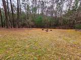 245 Sunnie Lane - Photo 33