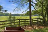 580 Lamms Road - Photo 43
