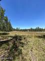 349 Lally Circle - Photo 4