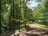 21 Collett Woods Trail - Photo 12