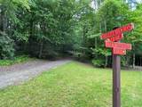 21 Collett Woods Trail - Photo 2