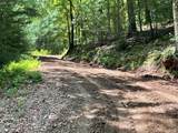 21 Collett Woods Trail - Photo 21