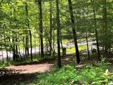 21 Collett Woods Trail - Photo 23