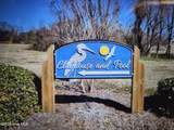 113 Sandpiper Drive - Photo 7