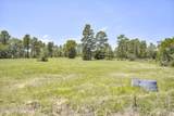 798 Big Branch Road - Photo 38