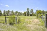 798 Big Branch Road - Photo 39