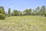 798 Big Branch Road - Photo 40