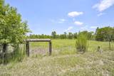 798 Big Branch Road - Photo 49