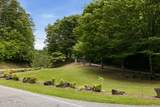 340 Fain Peak - Photo 2