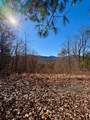 Lot 14 View Ridge Trail - Photo 5