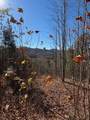 Lot 14 View Ridge Trail - Photo 6