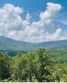 Lot 14 View Ridge Trail - Photo 8