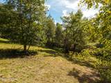 5221 Fires Creek Road - Photo 14