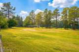 3 Foxhill Circle - Photo 45