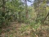 35 Dowitcher Trail - Photo 3