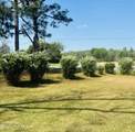 1011 Raleigh Road - Photo 16