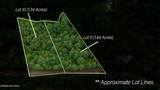 Lot 9 Holly Ridge Lane - Photo 3