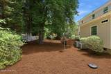 585 Burning Tree Road - Photo 88